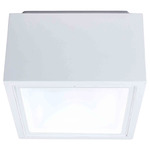 Bloc Outdoor Ceiling Light - White / Silk Screened