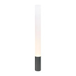 Elise Floor Lamp - Black / Frosted