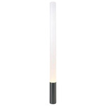 Elise Floor Lamp - Black / Frosted