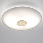 Series 3500 Wall/Ceiling Light - Decorative Brushed Brass / Satin White