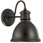 Capital Outdoor Wall Sconce - Old Bronze