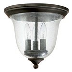 Capital 9541 Outdoor Flush Mount - Old Bronze / Clear Seeded