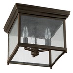 Capital 9546 Outdoor Flush Mount - Old Bronze / Antique Glass