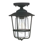Creekside Seeded Glass Outdoor Ceiling Mount - Black / Seeded Glass