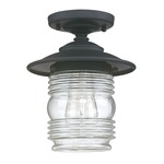 Creekside Outdoor Ceiling Mount - Black / Clear