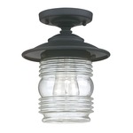 Creekside Outdoor Ceiling Light - Black / Clear