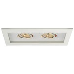 Low Voltage 2-Light Multiple Spot Invisible Trim - White