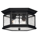 Edgewater 120V Outdoor Ceiling Light Fixture - Black / Clear Seedy