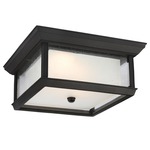McHenry Warm Dim Outdoor Ceiling Light Fixture - Textured Black / Clear Seeded