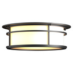 Province Outdoor Ceiling Light - Coastal Black / Opal