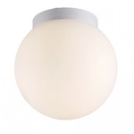 Niveous Wall / Ceiling Light - White / Opal