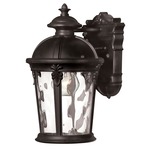 Windsor Outdoor Lantern Wall Light - Black / Clear Water Glass