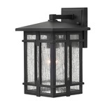 Tucker Outdoor Wall Light - Museum Black / Clear Seedy