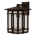 Tucker Outdoor Wall Light - Oil Rubbed Bronze / Clear Seedy