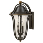 Bolla Curved Arm Outdoor Wall Light - Olde Bronze / Clear Seedy