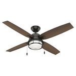 Ocala Outdoor Ceiling Fan with Light - Noble Bronze / Clear
