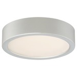Decorative LED Ceiling Light Fixture - Silver / Etched White