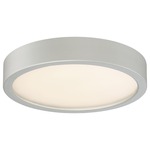 Decorative LED Ceiling Light Fixture - Silver / Etched White