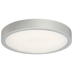 Decorative LED Ceiling Light Fixture - Silver / Etched White