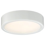 Decorative LED Ceiling Light Fixture - White / Etched White
