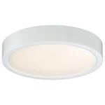Decorative LED Ceiling Light Fixture - White / Etched White