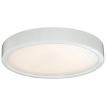 Decorative LED Ceiling Light Fixture - White / Etched White