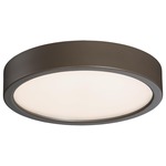 Decorative LED Ceiling Light Fixture - Copper Bronze Patina / Etched White