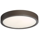 Decorative LED Ceiling Light Fixture - Copper Bronze Patina / Etched White