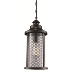 40746 Outdoor Pendant - Black / Clear