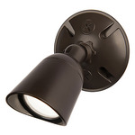 Endurance Outdoor 120V Wall / Ceiling Spot - Architectural Bronze