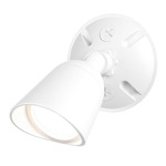 Endurance Outdoor 120V Wall / Ceiling Spot - Architectural White
