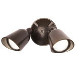 Endurance Outdoor 120V Wall / Ceiling Spot - Architectural Bronze