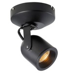 ME-808 Single Spot Light - Black / Clear