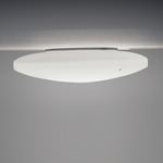 Moris Wall / Ceiling Light - White / White