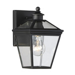 Ellijay Outdoor Wall Sconce - Black / Clear