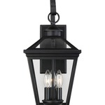 Ellijay Outdoor Hanging Wall Sconce - Black / Clear