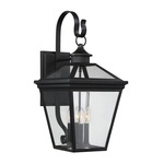 Ellijay Outdoor Hanging Wall Sconce - Black / Clear