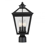 Ellijay Outdoor Post Light - Black / Clear