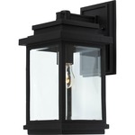 Freemont 1 Light Outdoor Wall Light - Black / Clear