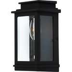 Freemont 8191 Outdoor Wall Light - Black / Clear
