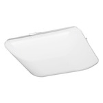 CM401 Wall / Ceiling Light 14 inch - White / White