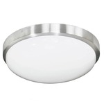 CM402 Wall / Ceiling Light - Brushed Nickel / White