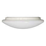 CM406 Wall / Ceiling Light 90CRI - White / White