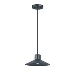 Civic Outdoor Pendant - Architectural Bronze / Frosted