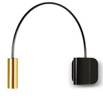 Volta Wall Light - Black / Satin Gold