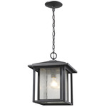 Aspen Outdoor Pendant - Black / Clear Seeded