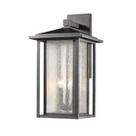 Aspen Outdoor Wall Light - Black / Clear Seeded