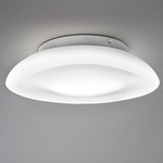 Lunex Dimmable LED Wall / Ceiling Light - White / White