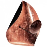 Lederam Manta Wall / Ceiling Light - Black / Copper Leaf