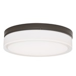 Cirque Outdoor Wall/Ceiling Light Fixture - Charcoal